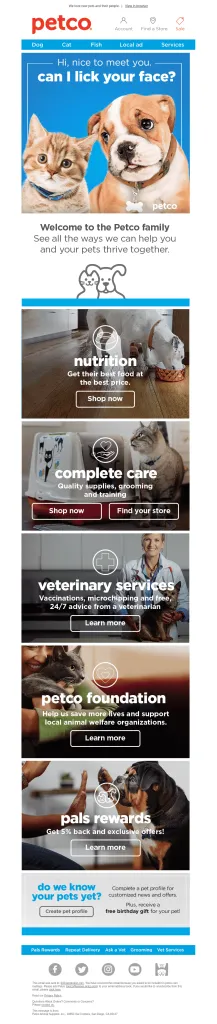 Email Marketing Campaign Examples