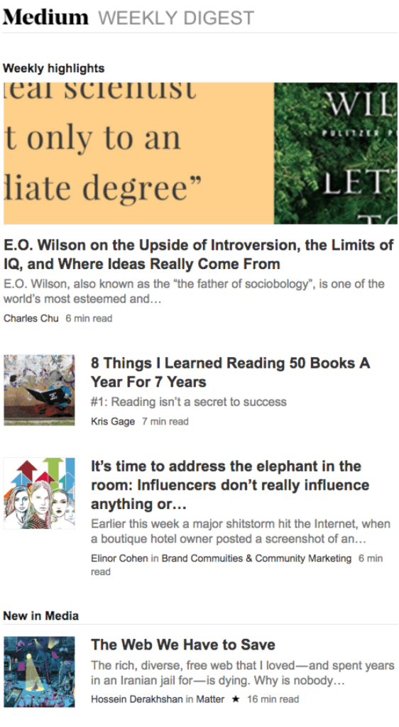 medium-email-example2x – MailSenpai email branding