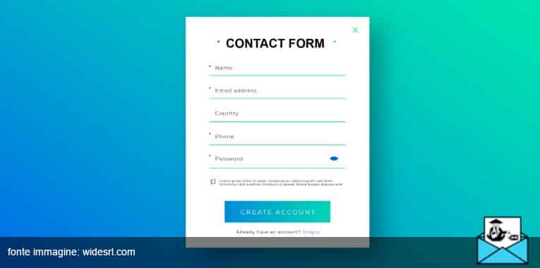 form – MailSenpai form